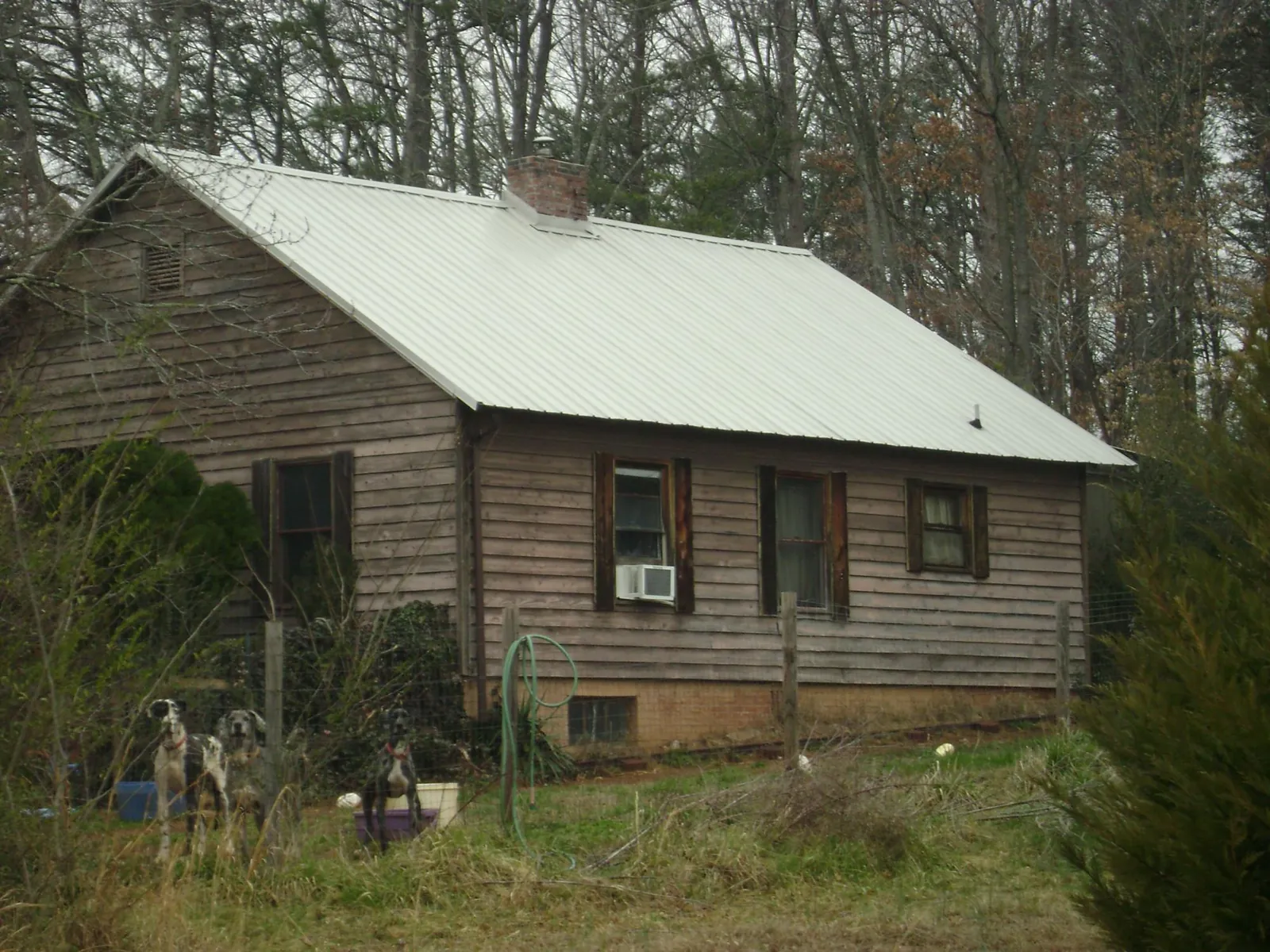 White metal roof on an old wood sided farmhouse, from a Asphalt Shingle Roof Repair job in Valley Springs